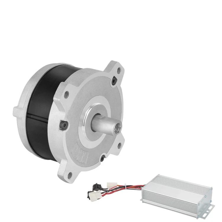 100mm OD 220V BLDC Motor